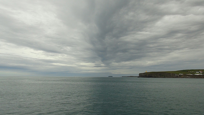 Северная Исландия. Китовое сафари