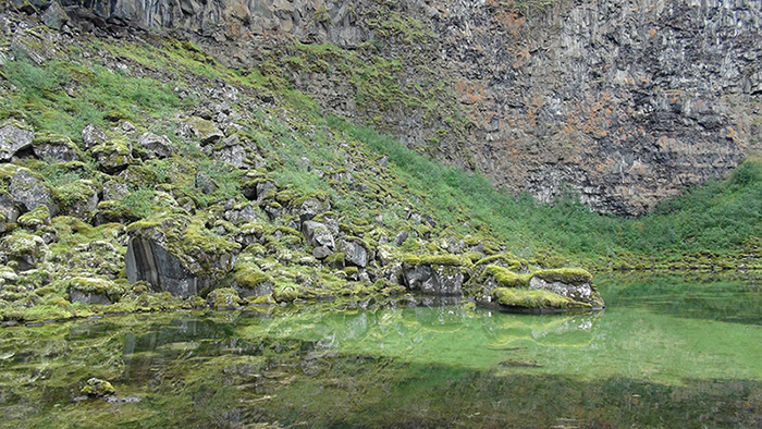 Северная Исландия. Каньон Асбирги. Природа Исландии летом