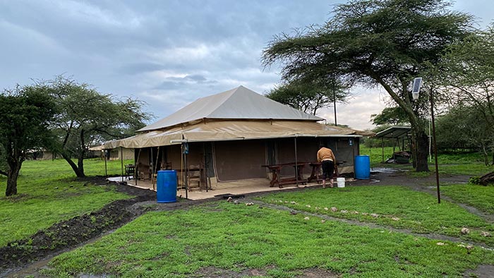 Отдых в Танзании 2021