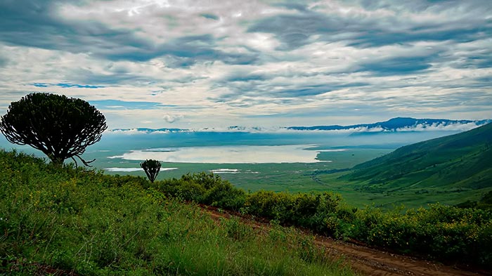 Национальный парк в Танзании