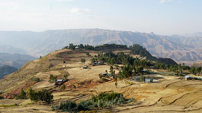 Эфиопия. Африка. Дневники путешествий