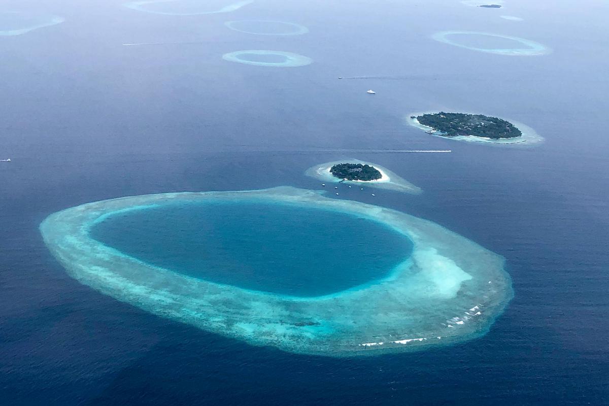 Мальдивские острова. Коралловые рифы